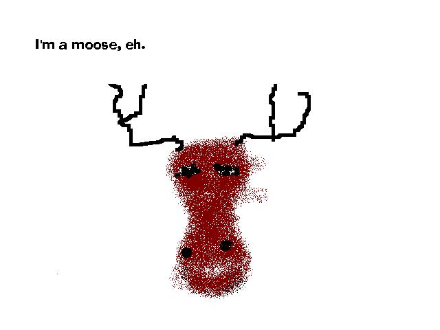 moose.jpg