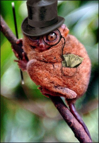 Mr.Monkeybags.JPG