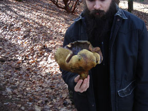 mushroom.JPG
