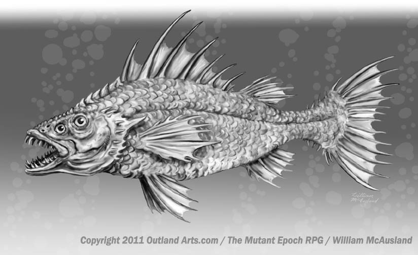 mutant-yellow-perch-web.jpg