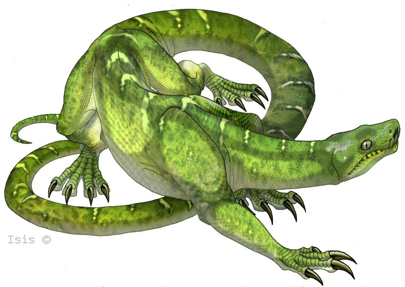 Nagasaur - Corallus Caninus by Isis Masshiro.jpg