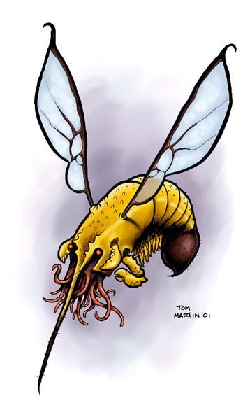 narwasp.jpg