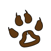 Nature Domain.png