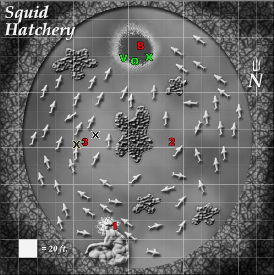 Nautilus2.jpg
