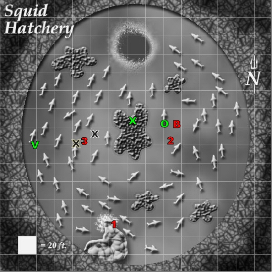 Nautilus3.jpg