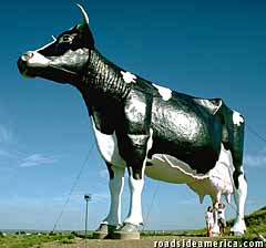 NDSALcow.jpg