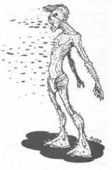 needleman 001.jpg