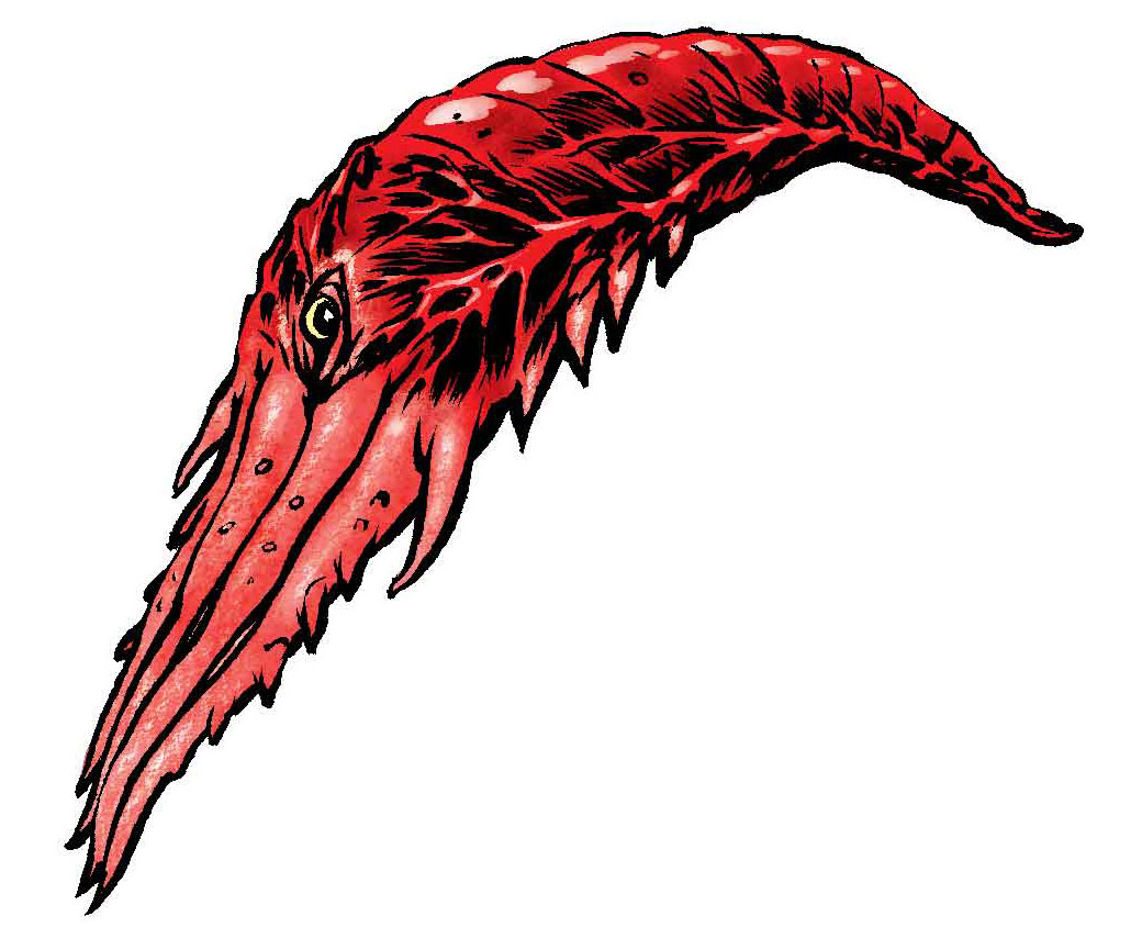 nerve-swimmer.jpg