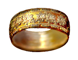 Nolin'sRing.jpg