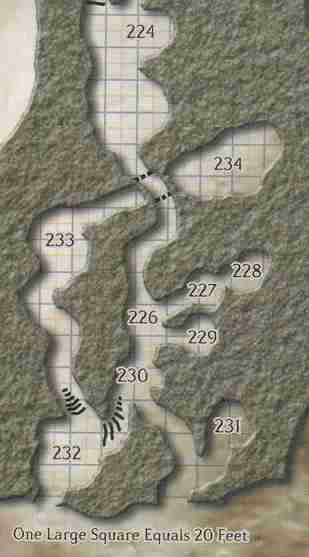 North Trog Caves.jpg