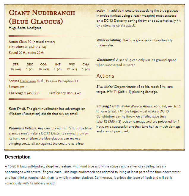 nudibranch2.PNG