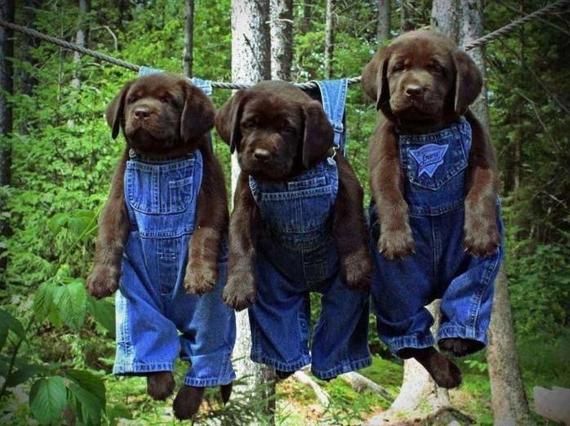 ON THE LINE cross stitch chart pdf.jpeg