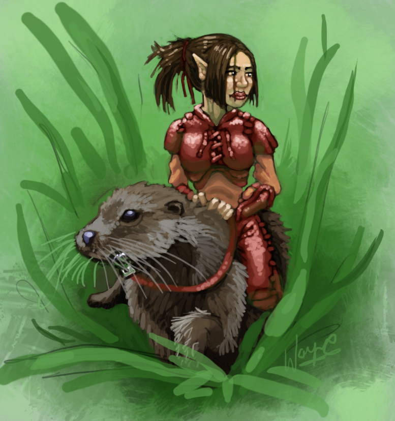 Otter_Rider.jpg