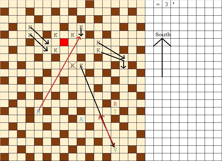 Out5818.jpg