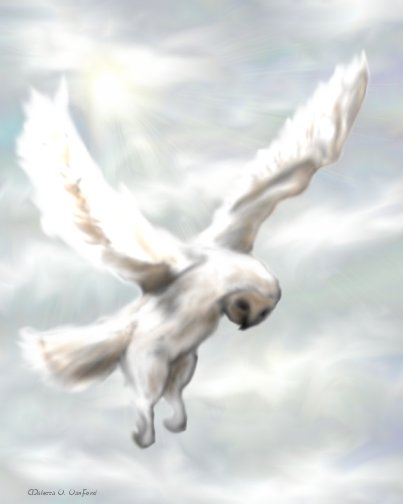 owl.jpg