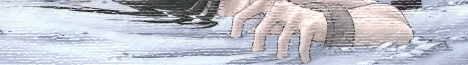 OWSA.gif