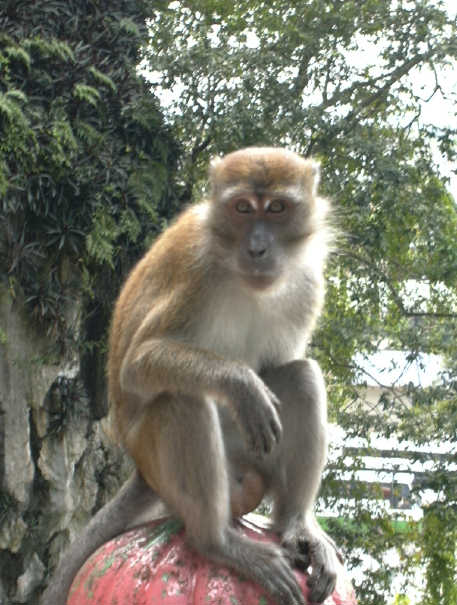 p1000159_small.jpg