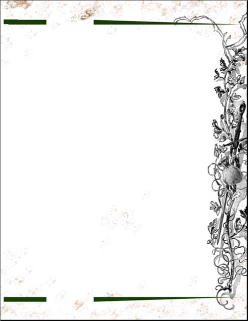 page layout.jpg