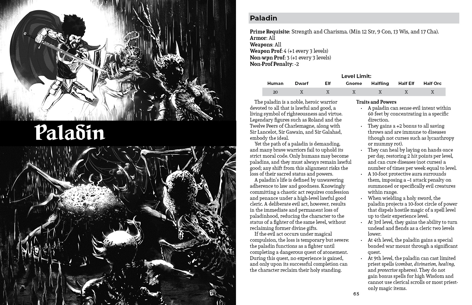 paladin.jpg