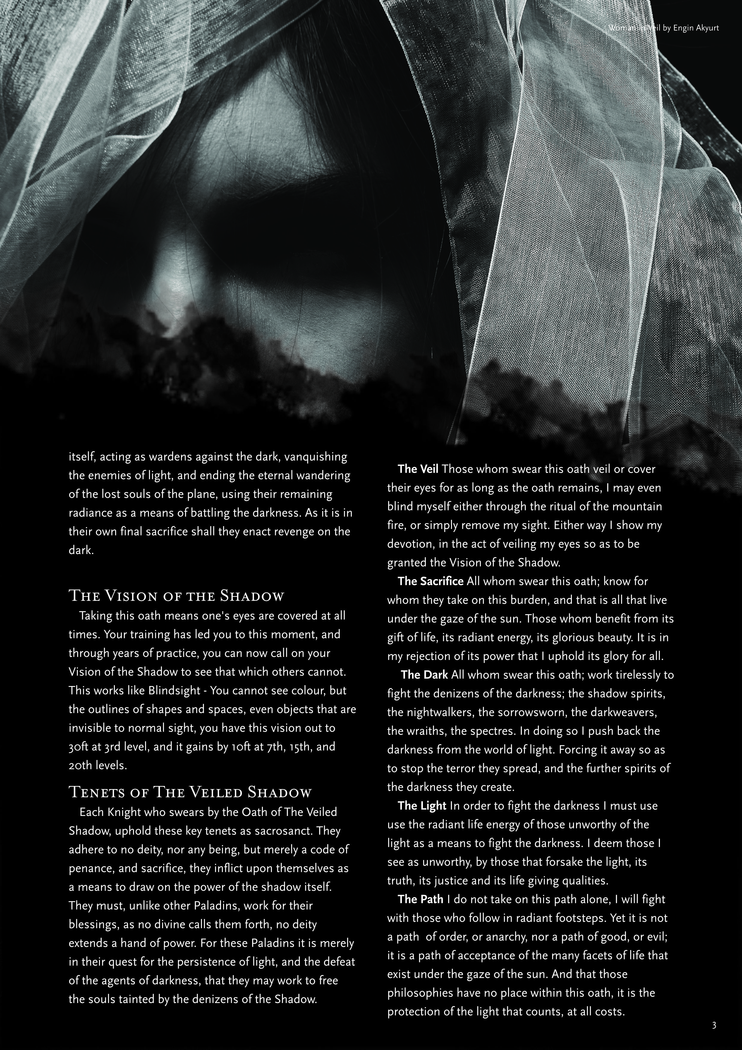 Paladin - Oath of The Veiled Shadow_HR_3.jpg