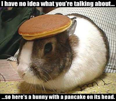 pancakebunny1.jpg