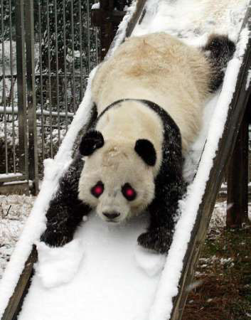 panda on a slide - evil.jpg