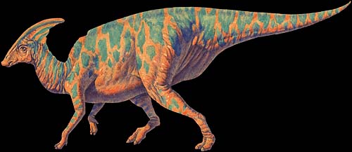 parasaurolophus.jpg