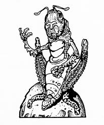 pernicon 001.jpg