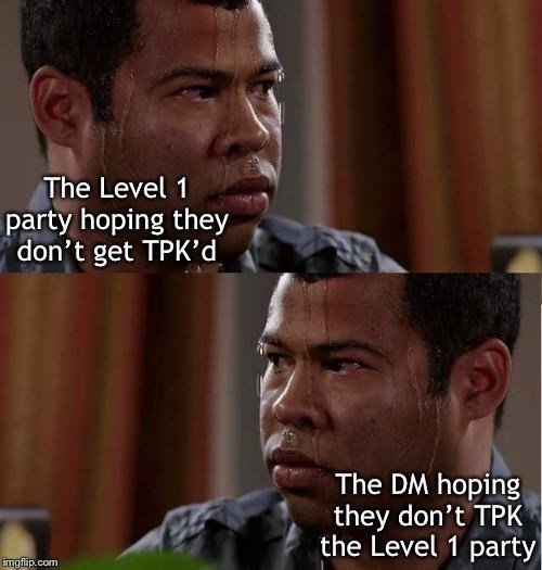 person-level-1-party-hoping-they-dont-get-tpkd-dm-hoping-they-dont-tpk-level-1-party-imgflipcom.jpg