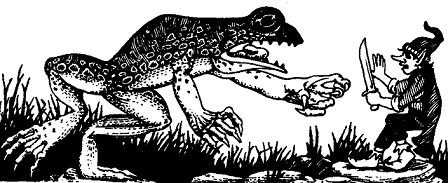 PH_toad attack.jpg