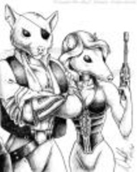 pi-rats.jpg