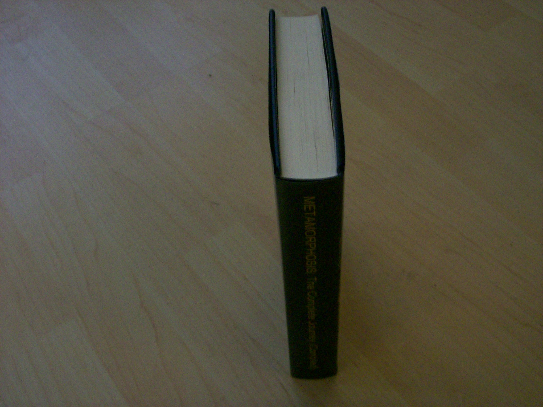 Picture 009.jpg