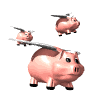 pigfly.gif