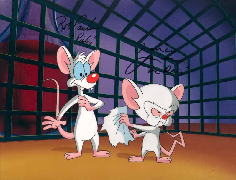 Pinky_and_the_Brain.jpg