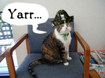 piratekitty01.jpg