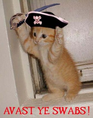 piratekitty02.jpg