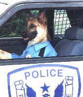 police_dog.jpg