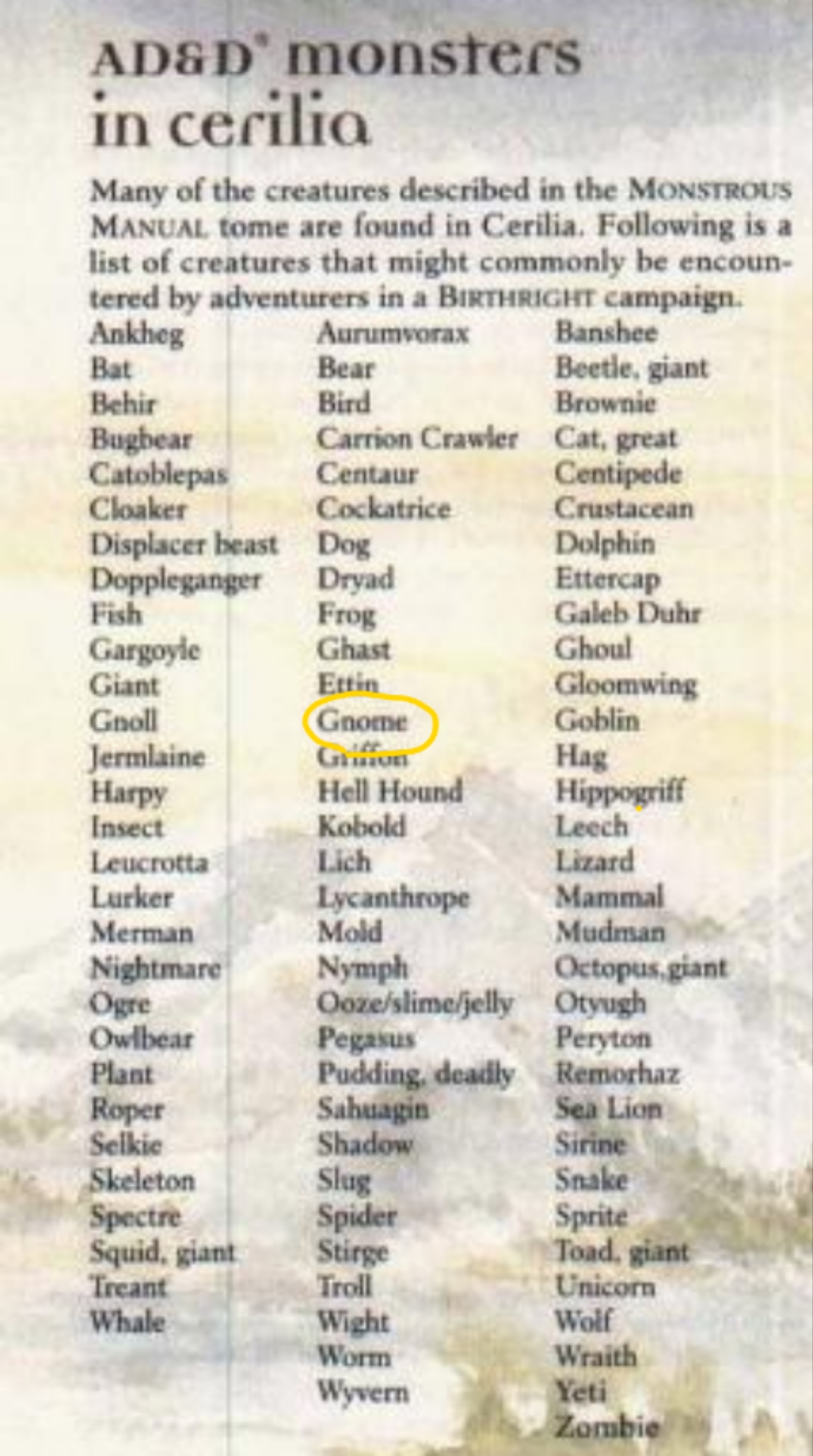 Polish_20230303_082807038.jpg