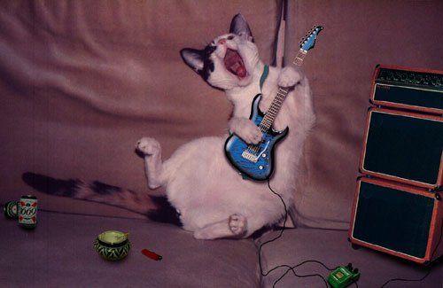 pop image.jpg