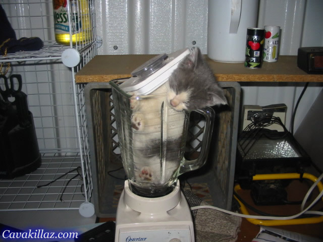 PTK_Blender1.jpg