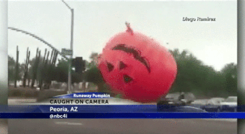 pumpkin.gif