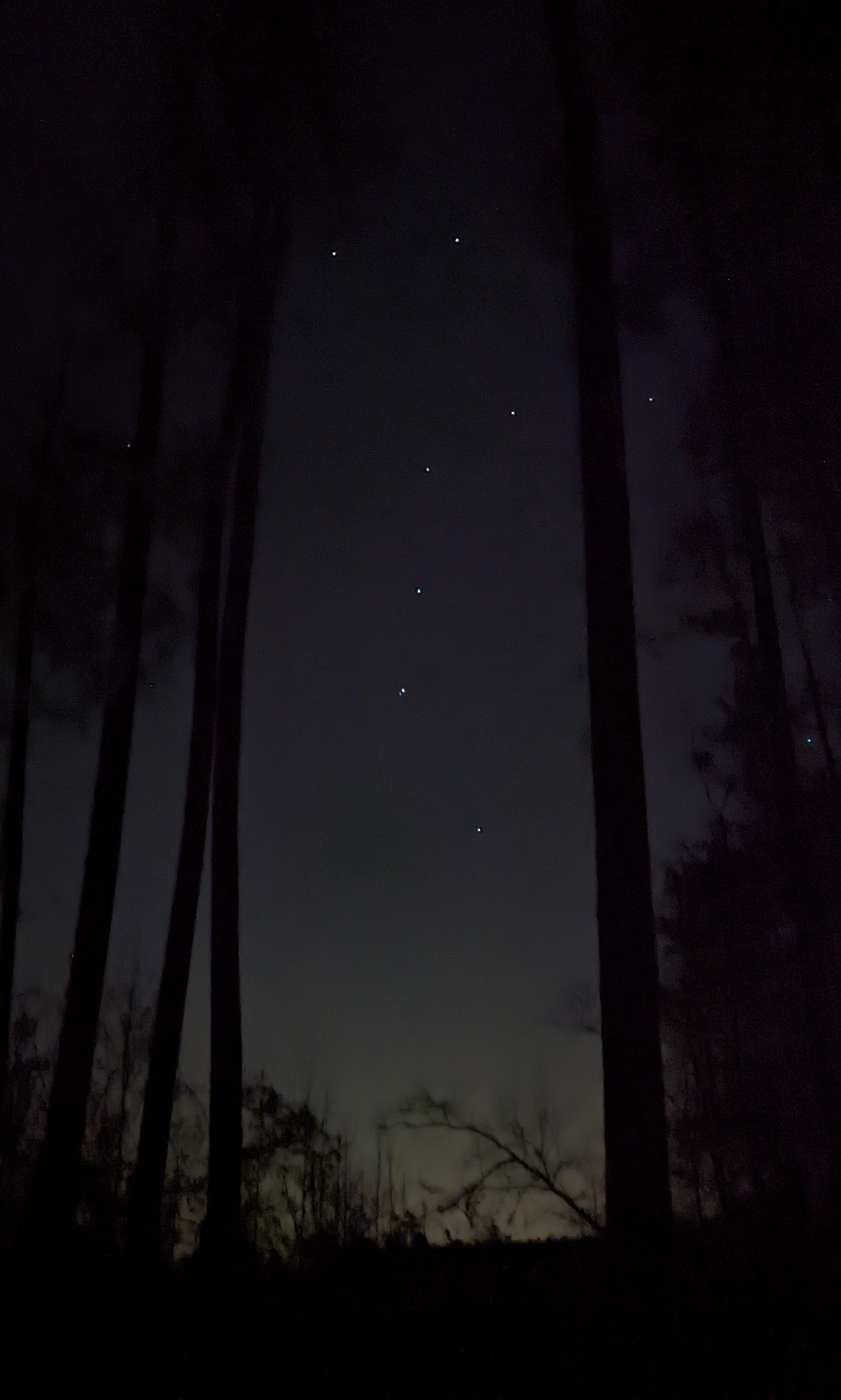 PXL_20220226_020343876.NIGHT~2.jpg