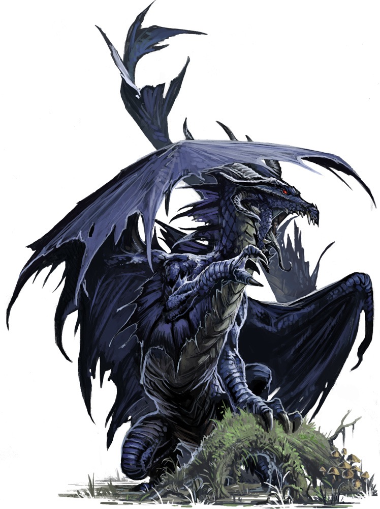 PZO1001-BlackDragon.jpg