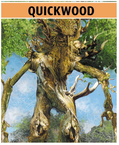 QUICKWOOD.jpg