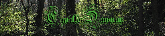 r-banner-6.jpg
