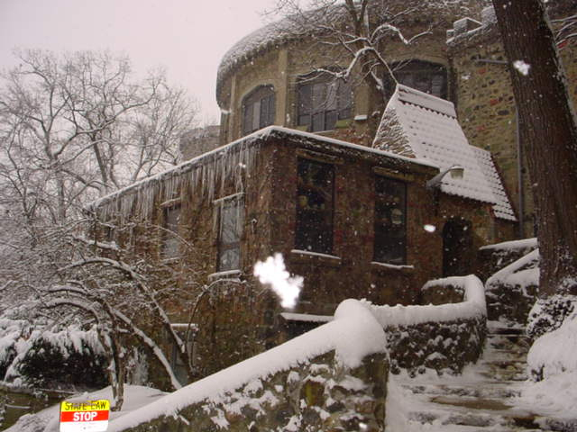 R1 - M1 - Image 4.jpg