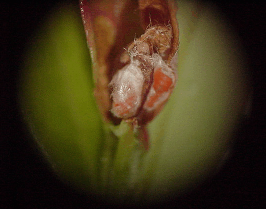 R1 - M6 - Image 2.gif