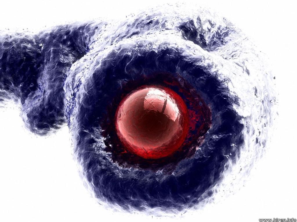 R1 - M8 - Image 4.jpg