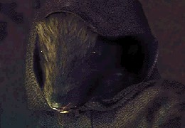 ranat.jpg