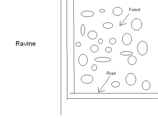Road.JPG